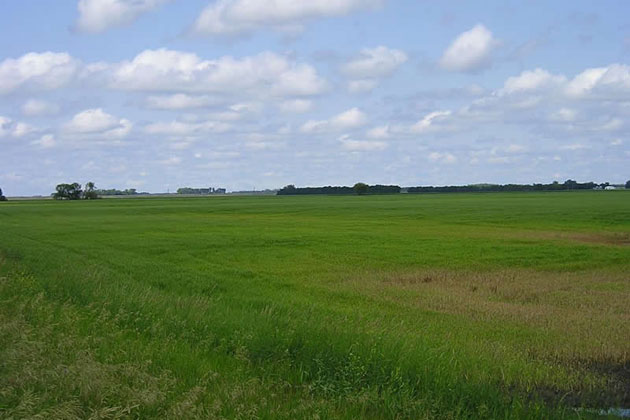North Dakota Fields