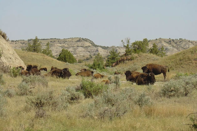 Western North Dakota